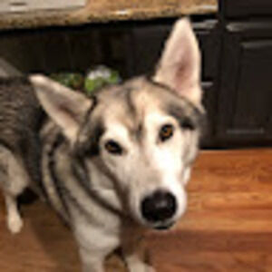 Meet your Posher, Rosanne